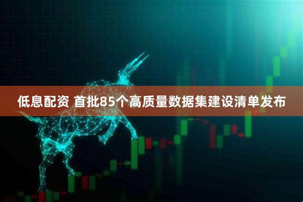 低息配资 首批85个高质量数据集建设清单发布